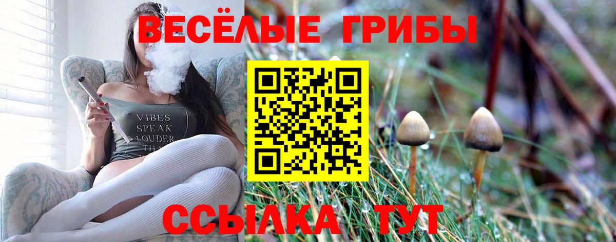 Армавир  закладка  Вход с VPN  Псилоцибиновые грибы мицелий 